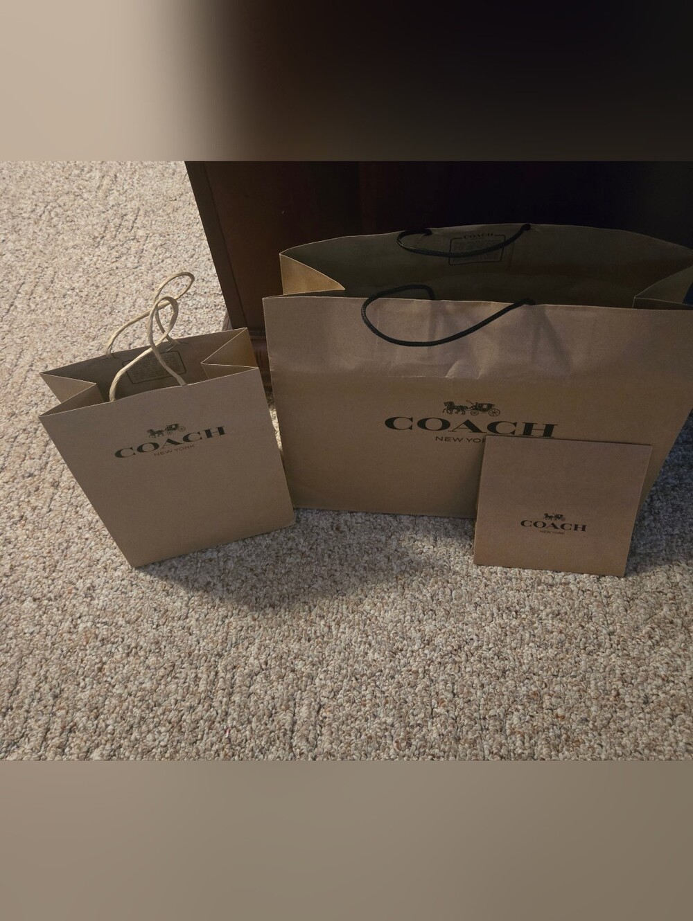 Coach Brown Shopping Bags & Gift Box Set